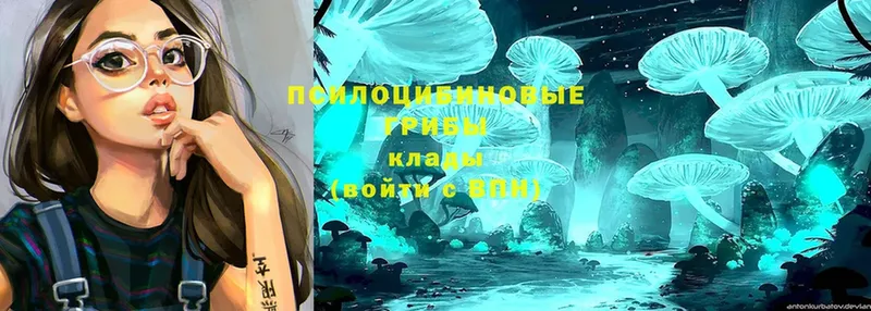 блэк спрут как зайти  Голицыно  Галлюциногенные грибы Magic Shrooms  как найти закладки 